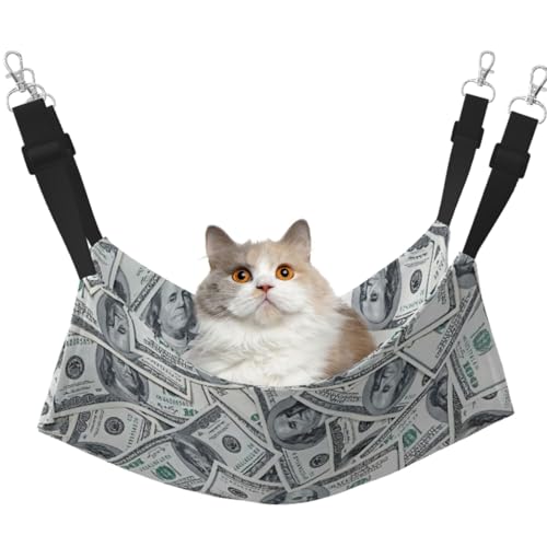 Funny Dollar Money Hängematte, mit verstellbaren Gurten und Metallhaken, doppelseitiges Bett von HGFVY