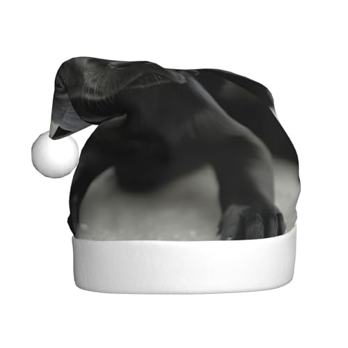 Plüsch-Weihnachtsmannmütze für Welpen, Hunde, bequeme Weihnachtsmütze für Weihnachten, Party, Gastgeschenke, passend für Erwachsene von HGFVY