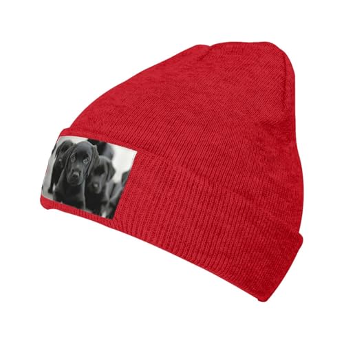 Wintermütze für Welpen, warm, dick, weich, dehnbar, für Damen und Herren, warmes Accessoire von HGFVY
