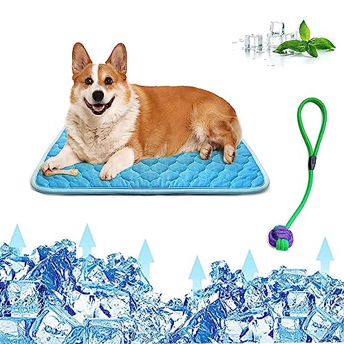 HGMOMO Hundekühlmatte,Haustier Hund Selbstkühlung Pad,Eis Seide waschbar Sommer Kühldecke für Hunde Katzen,Zwinger(L,Blau) von HGMOMO