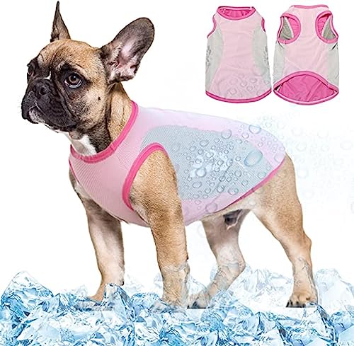 HGMOMO Kühlweste für Hunde, atmungsaktiv, sonnenfest, mit reflektierendem Streifen, atmungsaktives Netzgewebe,Hundekleidung für den Sommer, leichte, kühlende Hundejacke,UV-Schutz (S, Rose) von HGMOMO