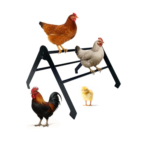 HGNUTAY Verstellbare Hühner-Roosting Bars aus Edelstahl für Stall - Stabile Hühnerstange und Leiter für Geflügel, Küken und Vögel, einfach zu installieren und zu reinigen, ideal für Ställe, Bauernhöfe von HGNUTAY