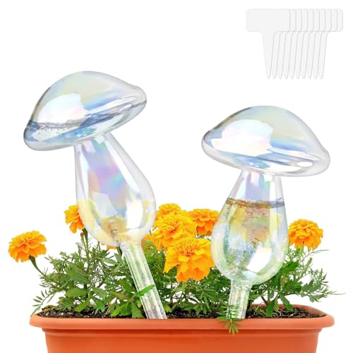 HGRGHH 2 Stück Bewässerungskugeln Pilze, Bunte Glas Pflanzenbewässerungskugeln, Bewässerungskugeln für Pflanzen, Wasserspender für Pflanzen, Selbstbewässernde Kugeln für Zimmerpflanzen/Garten/Balkon HGRGHH 2 Stück Bewässerungskugeln Pilze, Bunte Glas Pflanzenbewässerungskugeln, Bewässerungskugeln für Pflanzen, Wasserspender für Pflanzen, Selbstbewässernde Kugeln für Zimmerpflanzen/Garten/Balkon von HGRGHH