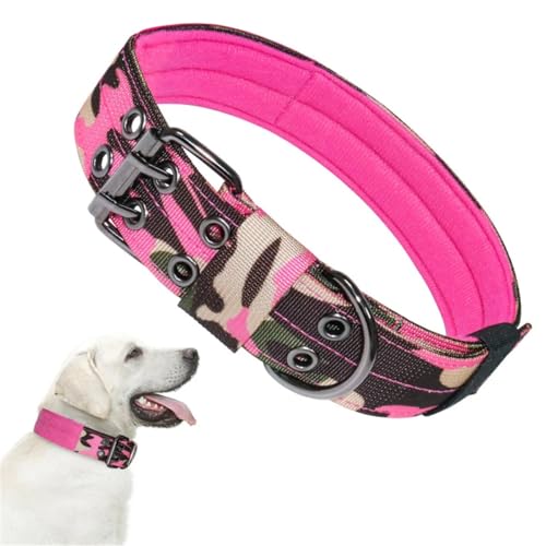 Robuste Taktische Hundehalsbandleine, strapazierfähiges Militär for mittelgroße und große Hundehalsbänder, Zubehör for das Lauftraining breites hundehalsband(C,M) von HGYNBCP