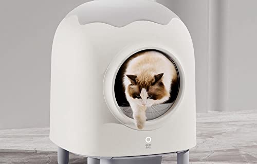 HHOLove iPet Intelligent Self-Cleaning Cat litterbox von HHOLove