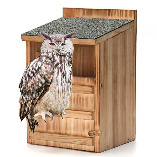 Eulenhaus, Holzbauset für Erwachsene, vorgefertigter Eulenkasten für draußen, hochwertiges Vogelhaus-Set aus Holz, mit Eulenkasten, Zedernspänen und Schrauben im Lieferumfang enthalten, Eulenhaus, Holzbauset für Erwachsene, vorgefertigter Eulenkasten für draußen, hochwertiges Vogelhaus-Set aus Holz, mit Eulenkasten, Zedernspänen und Schrauben im Lieferumfang enthalten, von HHWODB