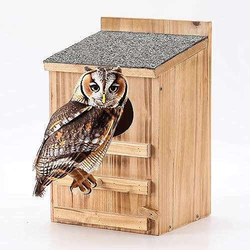 Kreischeule Haus mit Vogelständer - Große Zedernholz Premium und wetterfestes Design - Vorgefertigte Box für außen mit Befestigungsschrauben, einfache Montage Kreischeule Haus mit Vogelständer - Große Zedernholz Premium und wetterfestes Design - Vorgefertigte Box für außen mit Befestigungsschrauben, einfache Montage von HHWODB