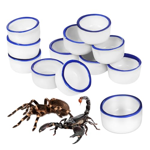 HIAKDOFT 12 Stück Teiliges Kleine Keramik Wasserschalen und Futternäpfe für Kleine Reptilien mit Stabilem Flachem Boden Multifunktional als Trink und Futterbecken Sowie Dekoratives von HIAKDOFT