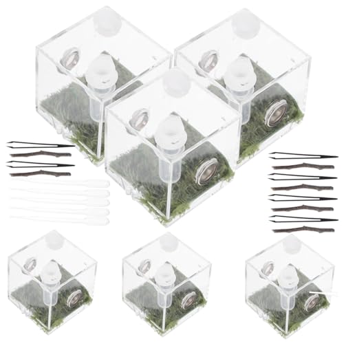 HIAKDOFT 2 Sätze Springspinne Aufzuchtbox Transparent Futterbox Kleine Spinnen Habitat Terrarium Feuchtigkeitsresistent Robuster Reptilienbehälter für Kleintiere und Insekten HIAKDOFT 2 Sätze Springspinne Aufzuchtbox Transparent Futterbox Kleine Spinnen Habitat Terrarium Feuchtigkeitsresistent Robuster Reptilienbehälter für Kleintiere und Insekten von HIAKDOFT
