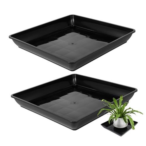 HIAKDOFT 2 Stück Blumentopftablett Quadratische Pflanzenuntersetzer Für Drinnen Pflanzenuntersetzer Für Draußen Tabletts Pflanzgefäß Tropfschale Pflanzen Drainageschale Blumenteller HIAKDOFT 2 Stück Blumentopftablett Quadratische Pflanzenuntersetzer Für Drinnen Pflanzenuntersetzer Für Draußen Tabletts Pflanzgefäß Tropfschale Pflanzen Drainageschale Blumenteller von HIAKDOFT