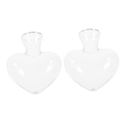 HIAKDOFT 2 Stück Glasvase blumenarrangement Blumenvase glasflasche Glaswaren hoher Pflanzenständer Glühbirnenvase einmachgläser Links Pflanzer hydroponische Pflanzenflasche Transparent von HIAKDOFT