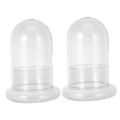 HIAKDOFT 2 Stück Ökologische Glasflaschen mit feinem Moos Terrarium DIY Dekorative Landschaftsflaschen für Pflanzen Flaschengarten Innenraum und Bürogestaltung HIAKDOFT 2 Stück Ökologische Glasflaschen mit feinem Moos Terrarium DIY Dekorative Landschaftsflaschen für Pflanzen Flaschengarten Innenraum und Bürogestaltung von HIAKDOFT