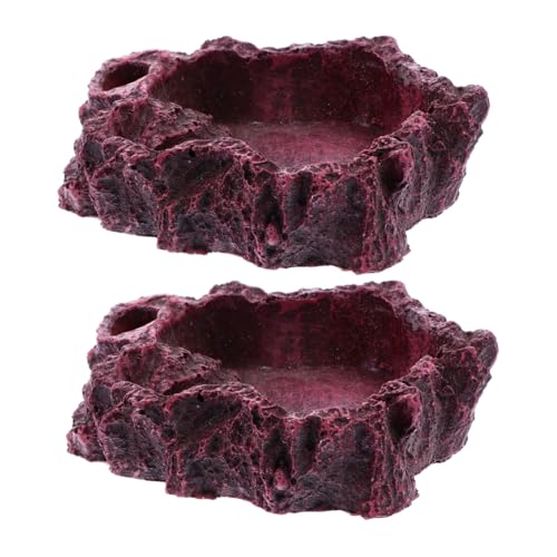 HIAKDOFT 2 Stück Reptilien Futternapf Teilig Natürliches Design Futter und Wasserschale für Schildkröten Eidechsen Wasserschale Terrarium Geeignet Sicher und Passend für Tägliche Nutzung von HIAKDOFT