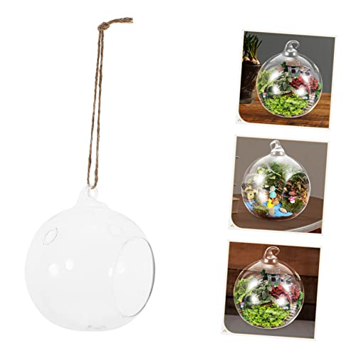 HIAKDOFT 2 Stücke Hängendes Glaskugel Terrarium für Luftpflanzen Robustes Transparentes Pflanzengefäß für Mikrolandschaften und Sukkulenten Wohnaccessoire für Innenräume HIAKDOFT 2 Stücke Hängendes Glaskugel Terrarium für Luftpflanzen Robustes Transparentes Pflanzengefäß für Mikrolandschaften und Sukkulenten Wohnaccessoire für Innenräume von HIAKDOFT