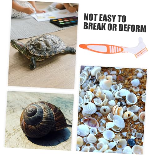 HIAKDOFT 3 Stück Teiliges Schildkröten Reinigungsbürsten aus Robustem Abs mit Ergonomischem Griff Leicht und Kompakt für Effektive Entfernung von Schlamm und Schmutz Am Panzer für von HIAKDOFT