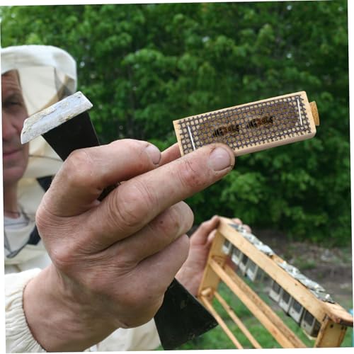 HIAKDOFT 5 Stück Bienenkönigin Käfig Teiliges Beekeeping Werkzeug Langlebig und Leicht für Imker zur Einfachen Markierung und Fang Bienenkönigin HIAKDOFT 5 Stück Bienenkönigin Käfig Teiliges Beekeeping Werkzeug Langlebig und Leicht für Imker zur Einfachen Markierung und Fang Bienenkönigin von HIAKDOFT