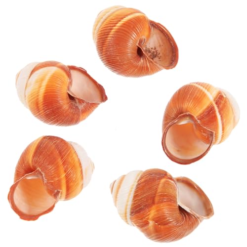 HIAKDOFT 5 Stück Teiliges Natürliche Essbare Escargot-schneckenhäuser Französischer Stil Hitzebeständig und Robust für Restaurant und Zuhause zum Backen und Servieren von Schnecken HIAKDOFT 5 Stück Teiliges Natürliche Essbare Escargot-schneckenhäuser Französischer Stil Hitzebeständig und Robust für Restaurant und Zuhause zum Backen und Servieren von Schnecken von HIAKDOFT