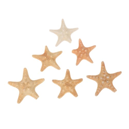 HIAKDOFT 6 Stück Teiliges Natürlicher Seestern Charms für DIY Bastelarbeiten Leichte Meeresornamente zur Schmuckherstellung und Miniatur Dekoration für Kreative Zufällige Zufällige Farbe HIAKDOFT 6 Stück Teiliges Natürlicher Seestern Charms für DIY Bastelarbeiten Leichte Meeresornamente zur Schmuckherstellung und Miniatur Dekoration für Kreative Zufällige Zufällige Farbe von HIAKDOFT