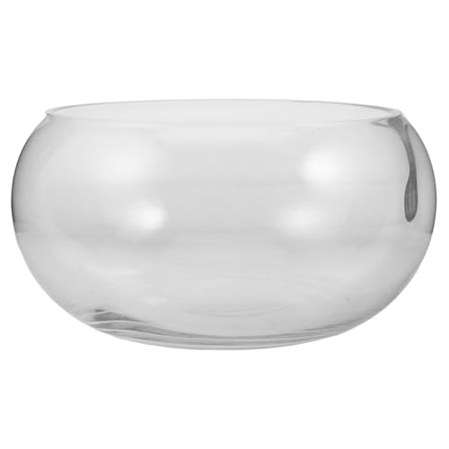 HIAKDOFT Blumentopf Aus Glas Desktop Anlage Terrarien Schüsseln Vase Saftig Schreibtisch Fisch Aquarium Tank Wächter Groß Container Tischplatte Drinnen Pflanzen Transparent von HIAKDOFT