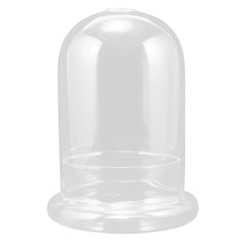 HIAKDOFT Glasdom mit Sockel Transparente Glaskuppel Dekorative Glasglocke für Ewige Blumen Display Stabile Glasvitrine Tischdekoration Kreative und Büroverzierung HIAKDOFT Glasdom mit Sockel Transparente Glaskuppel Dekorative Glasglocke für Ewige Blumen Display Stabile Glasvitrine Tischdekoration Kreative und Büroverzierung von HIAKDOFT