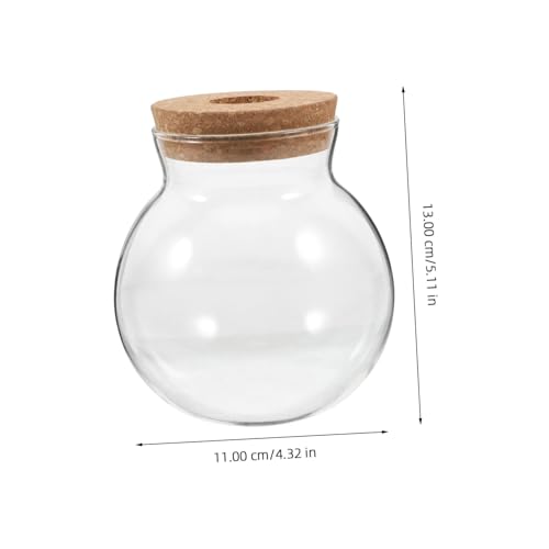 HIAKDOFT Hydroponische Glasflasche Rund mit Korkverschluss Multifunktionales DIY Terrarium für Pflanzen Moos Grünpflanzen Luftpflanzen Dekoratives Platzsparendes Pflanzgefäß für Zuhause von HIAKDOFT