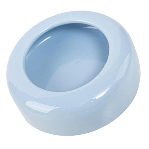 HIAKDOFT Keramik Haustiernapf Flach Wassernapf für Katzen Hunde Kleine Haustiere Hellblau Glatt Leicht zu Reinigen Langlebig HIAKDOFT Keramik Haustiernapf Flach Wassernapf für Katzen Hunde Kleine Haustiere Hellblau Glatt Leicht zu Reinigen Langlebig von HIAKDOFT