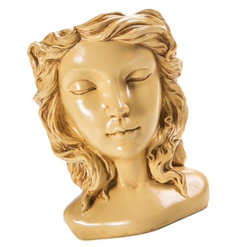 HIAKDOFT Kreativer Resin für Sukkulenten und Kakteen Dekoration für Wohnräume Schreibtisch für Pflanzenliebhaber Farblich Abgestimmt HIAKDOFT Kreativer Resin für Sukkulenten und Kakteen Dekoration für Wohnräume Schreibtisch für Pflanzenliebhaber Farblich Abgestimmt von HIAKDOFT