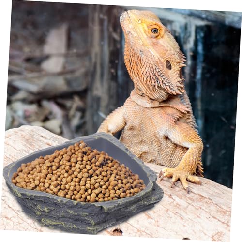 HIAKDOFT Langlebiger Reptilien Futternapf aus Premium Harz in Steinoptik Futter und Wasserschale für Kleine Echsen Schildkröten Geckos und Kriechtier Haustiere Leicht zu Reinigen und von HIAKDOFT