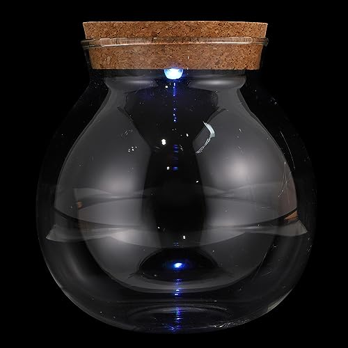 HIAKDOFT Micro Landscape Flasche mit LED Licht DIY Terrarium für Pflanzen Glasbehälter für und Außendekoration für Mikrolandschaften und Schreibtischaccessoires HIAKDOFT Micro Landscape Flasche mit LED Licht DIY Terrarium für Pflanzen Glasbehälter für und Außendekoration für Mikrolandschaften und Schreibtischaccessoires von HIAKDOFT