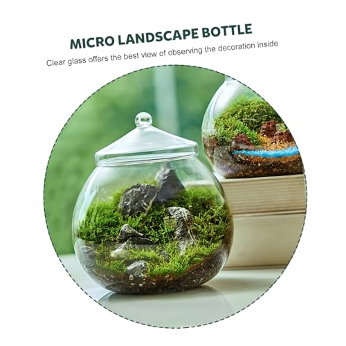 HIAKDOFT Micro Landscape Flaschengarten mit Deckel Glasbehälter für DIY Ökosystem Dekorative Pflanzenvase Transparent Kratzfest für Wohn und Arbeitszimmer Bürodeko und HIAKDOFT Micro Landscape Flaschengarten mit Deckel Glasbehälter für DIY Ökosystem Dekorative Pflanzenvase Transparent Kratzfest für Wohn und Arbeitszimmer Bürodeko und von HIAKDOFT
