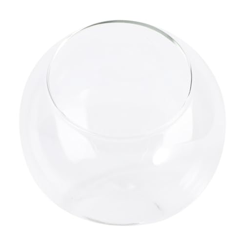 HIAKDOFT Micro Terrarium Glasflasche DIY Dekoration Terrarium Behälter für Zimmer Büro Fensterbank Ökologische Mini Landschaft HIAKDOFT Micro Terrarium Glasflasche DIY Dekoration Terrarium Behälter für Zimmer Büro Fensterbank Ökologische Mini Landschaft von HIAKDOFT