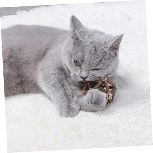 HIAKDOFT Molar Katzenminze Spielball Kauspielzeug zur Zahnpflege Stressabbau und Selbstbeschäftigung für Kätzchen und Katzen Langlebig und Kreativ Gestaltet Braun von HIAKDOFT