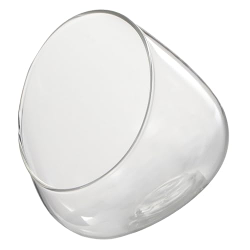 HIAKDOFT Multifunktionales Glas Terrarium Flasche Schrägschnitt Mikro ökosystem Dekoflasche für Pflanzen Deko Wohnzimmer Küche Langlebig Transparent HIAKDOFT Multifunktionales Glas Terrarium Flasche Schrägschnitt Mikro ökosystem Dekoflasche für Pflanzen Deko Wohnzimmer Küche Langlebig Transparent von HIAKDOFT