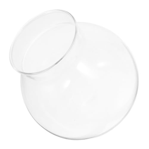 HIAKDOFT Ökologische Mikrolandschaftsflasche Tank Anlage empfindlich Mini Pflanzen transparentes Betta-Becken Desktop-Aquarium Vermehrungsgefäße Glas mit hohem Borosilikatgehalt von HIAKDOFT