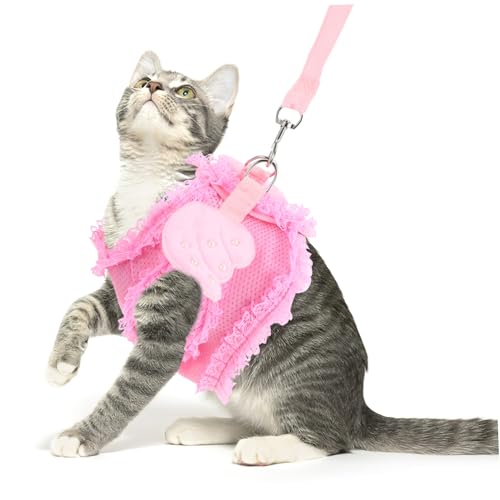 HIAKDOFT Pet Harness Katzen Geschirr Angel Design Verstellbar Atmungsaktiv Leicht und Komfortabel Angenehmes Brustgeschirr für Katzen und Kleine Hunde S Strapazierfähig und HIAKDOFT Pet Harness Katzen Geschirr Angel Design Verstellbar Atmungsaktiv Leicht und Komfortabel Angenehmes Brustgeschirr für Katzen und Kleine Hunde S Strapazierfähig und von HIAKDOFT