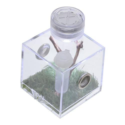 HIAKDOFT Sprungspinnen Terrarium Box Transparent mit Beleuchtung und Luftbefeuchter Kleine Reptilien Zuchtbox für Spinnen und Insekten Leicht Tragbar Teiliges HIAKDOFT Sprungspinnen Terrarium Box Transparent mit Beleuchtung und Luftbefeuchter Kleine Reptilien Zuchtbox für Spinnen und Insekten Leicht Tragbar Teiliges von HIAKDOFT