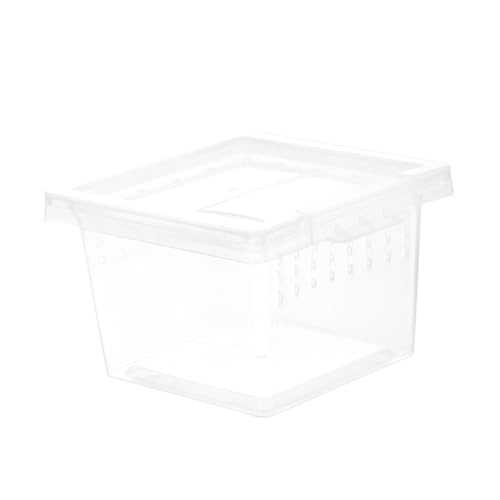 HIAKDOFT Transparente Reptilien Aufzuchtdose aus Langlebigem Kunststoff mit Belüftungslöchern Klare Terrarium Box für Kleine Echsen Spinnen Schildkröten und Insekten Praktische von HIAKDOFT