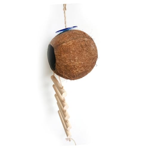 HIAKDOFT Vogelhaus aus Kokosnussschale mit Leiter Sicheres Versteck für Wellensittiche Nistplatz für Kleine Vögel und Kleintiere Warmes Nest für Käfighaltung Zubehör mit Zufällige Farbe HIAKDOFT Vogelhaus aus Kokosnussschale mit Leiter Sicheres Versteck für Wellensittiche Nistplatz für Kleine Vögel und Kleintiere Warmes Nest für Käfighaltung Zubehör mit Zufällige Farbe von HIAKDOFT