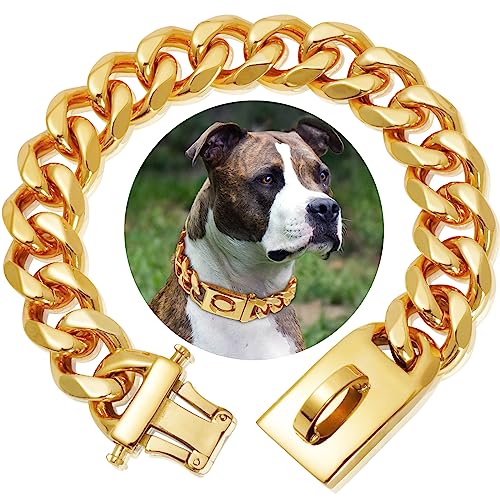 Goldenes Rostfreier Stahl Hundehalsband Metall Hundehalsband Hundekette Pet Halsband für mittlere und große Hunde(30cm) von HIAOCEEY