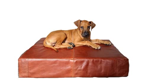 Hundebett, strapazierfähigem Leder - Extra groß - Braunes herausnehmbares Innenleder - schmutz- und geruchsabweisend - abwischbar Floh- und Milbenschutz #3 (L) von HIDESOULS