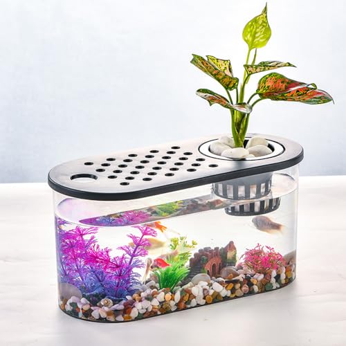 Desktop Turtle Tank Kleines Aquarium für Reptilien von HIERYAN
