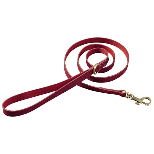 HIFA Hundeleine aus echtem Leder – weiches rustikales Leder, Vintage-Retro-Stil, weicher Griff und sicherer Halt – Hundeleine für kleine Hunde, Hundetrainingsleine zum Spazierengehen HIFA Hundeleine aus echtem Leder – weiches rustikales Leder, Vintage-Retro-Stil, weicher Griff und sicherer Halt – Hundeleine für kleine Hunde, Hundetrainingsleine zum Spazierengehen von HIFA