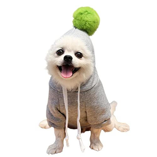 HIHELO Hundebekleidung für Hunde, Obsthund, für kleine Hunde, mit Kapuze, warm, für Tiere, Grau, 2XL von HIHELO