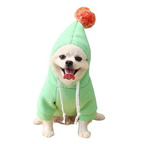 HIHELO Hundekleidung Obst Hundekleidung für kleine Hunde Hoodies Warme Haustierkleidung Welpe Katze Kostüm Mantel für Chihuahua Jacke Anzug - 3 Grün, L von HIHELO