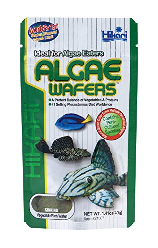 HIKARI SALES U.S.A,INC 48685/317 Hikari Tropical Algae Wafers (GrÃÃŸe: 40g), einen Artikel von Hikari