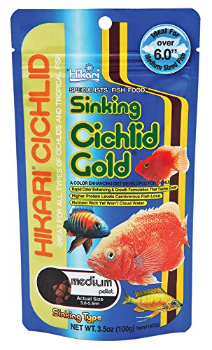HIKARI SALES USA 260342/2287 Hikari Food Cichlid Gold Sinking Medium Pellet Stabilized Vitamin C Meal 3.5 oz von Hikari