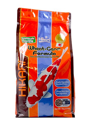 Hikari Wheat-Germ Medium 2kg Koifutter von Hikari