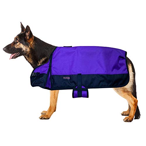 HILASON 200 GSM 600D Winter Turnout Wasserdichte Hundedecke Lila Schwarz | Hundemäntel und Decken | wasserdichte warme Jacken | Hundemantel | Haustierdecke für Schnee und kaltes Wetter von HILASON