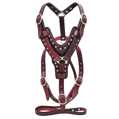 HILASON Hundegeschirr aus Mahagoni, Leder, mit Leine, Größe XS HILASON Hundegeschirr aus Mahagoni, Leder, mit Leine, Größe XS von HILASON