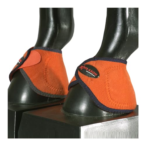 HILASON Kleine Westernpferde-Beinschutz, kein Drehen, Glockenstiefel, 1 Paar HILASON Kleine Westernpferde-Beinschutz, kein Drehen, Glockenstiefel, 1 Paar von HILASON